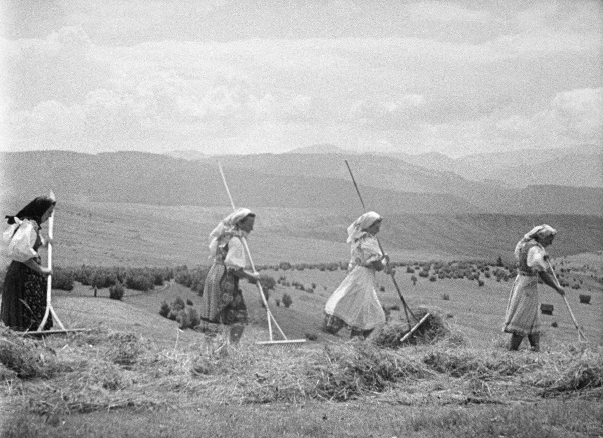 From the film <b><i>Summer under the Kriváň Mountain</i></b> (directed by Eugen Mateíčka)