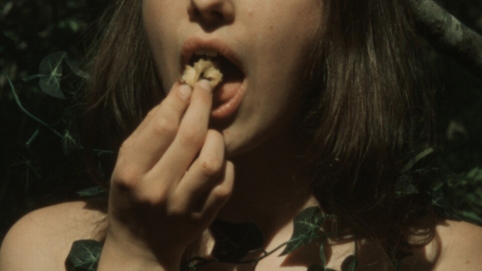 A flower and myself are not enough, there must be sun