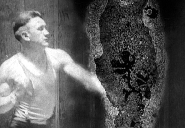 Translucent Being: Bill Morrison